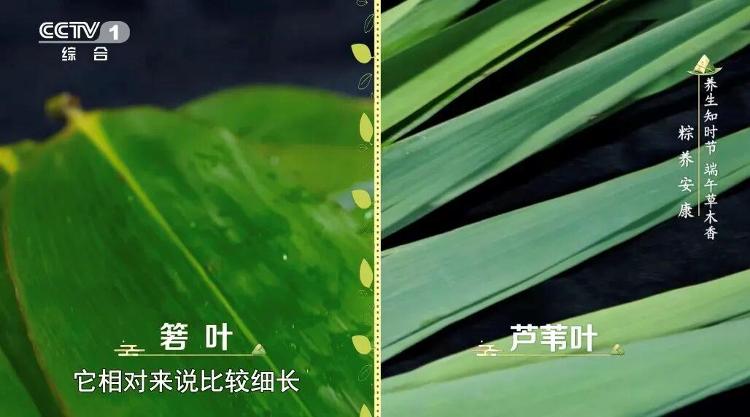 10999元起!下单华为Pura X Max免费领Care+权益:立省799元